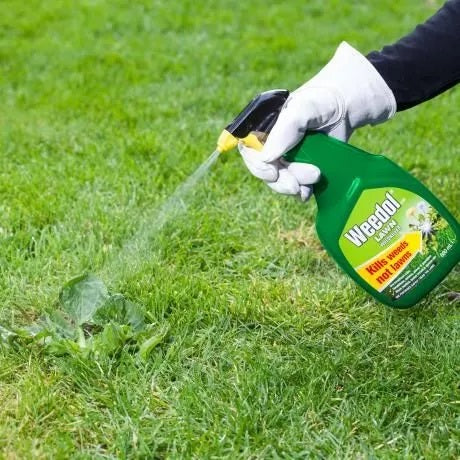 Evergreen Weedol Gun! Lawn Weedkiller 800ml