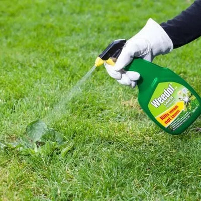 Evergreen Weedol Gun! Lawn Weedkiller 800ml