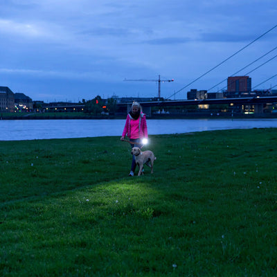 LED Lenser P7R Rechargable Torch