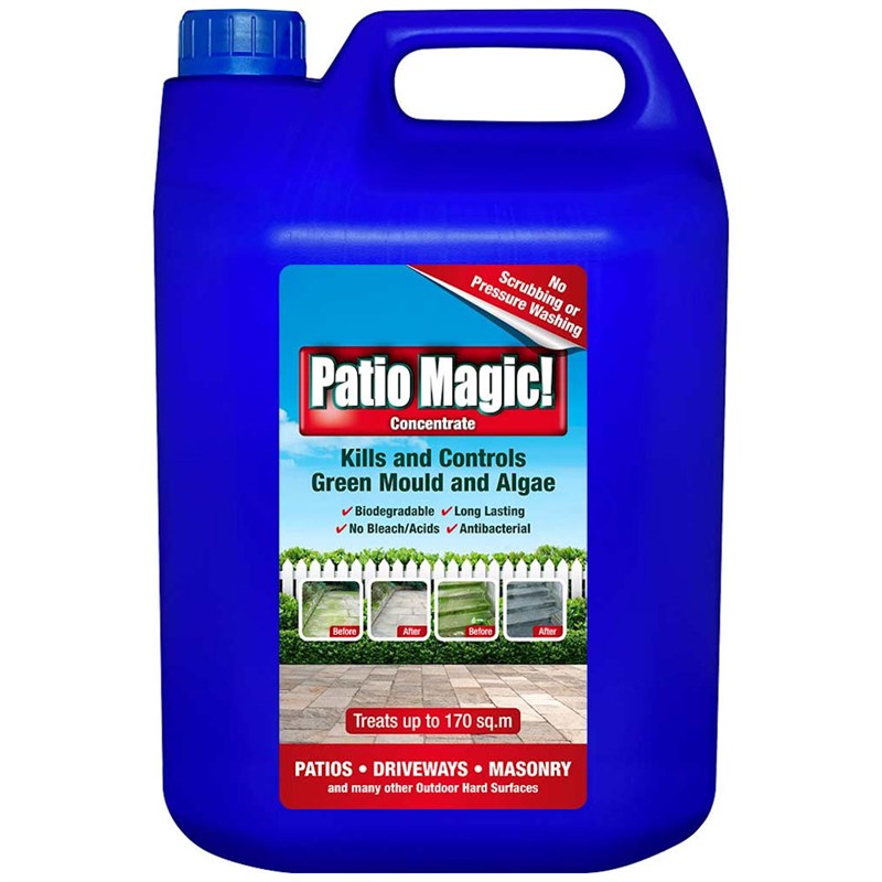 Evergreen Patio Magic! 5L