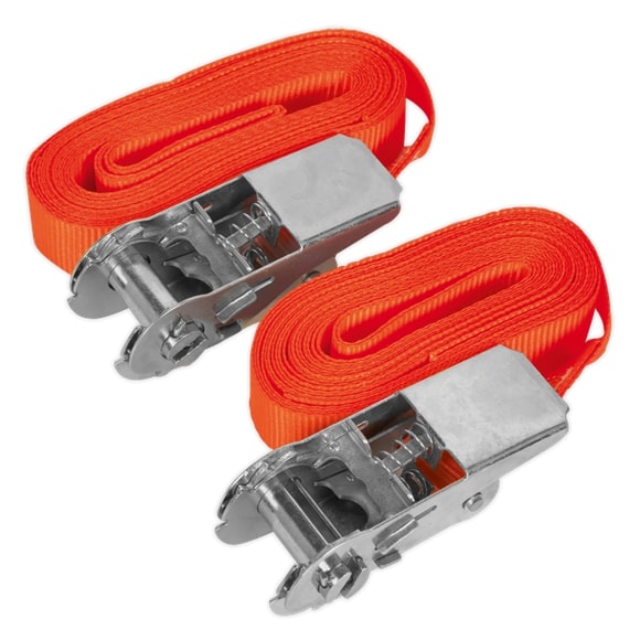 Sealey TD05045E S/Securing Ratchet Tie Down 25mm x 4.5m 500kg Load - Pair