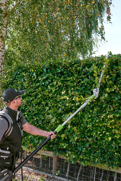 EGO PTX5100 51cm Hedge Trimmer Attachment